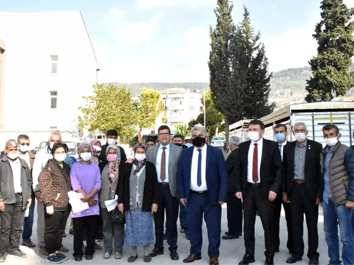 Muğlalı üreticilere koyun desteği