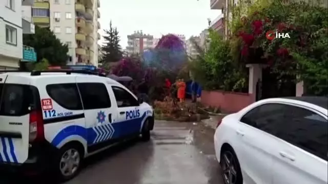 Şiddetli rüzgar ağaçları devirdi, park halindeki 2 araç hasar gördü