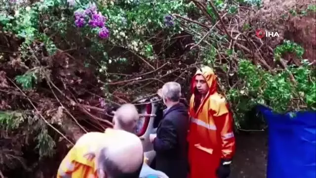Şiddetli rüzgar ağaçları devirdi, park halindeki 2 araç hasar gördü