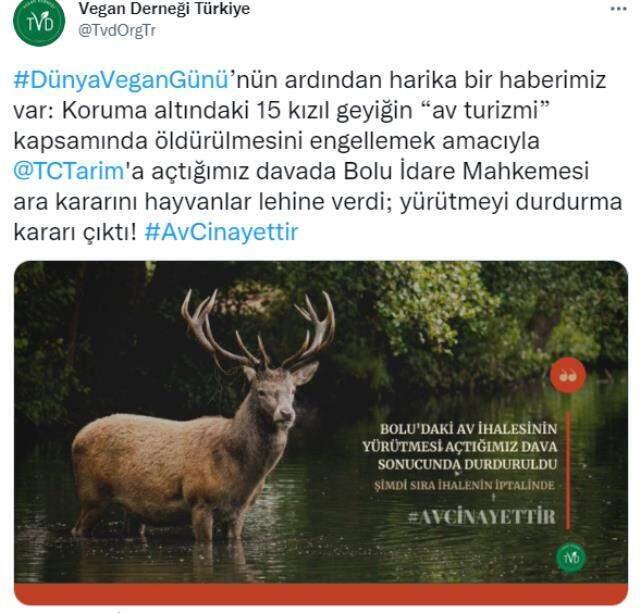 15 kızıl geyiğin avlanmasını engellemek için bakanlığa açılan davada orta karar! Yürütme durduruldu