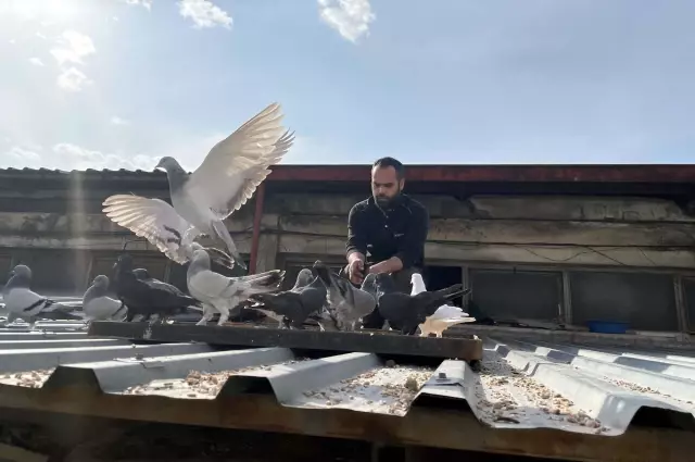 Motor ustası, iş yerinin ikinci katını güvercinlerine tahsis etti