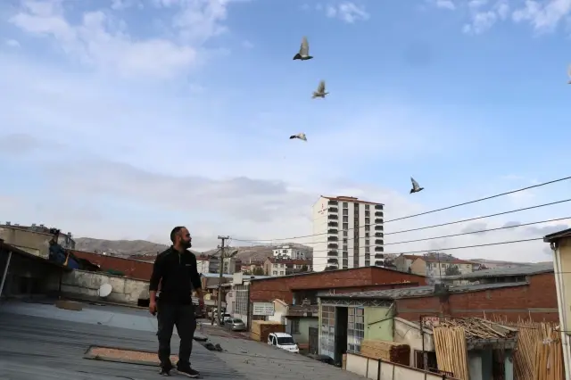 Motor ustası, iş yerinin ikinci katını güvercinlerine tahsis etti