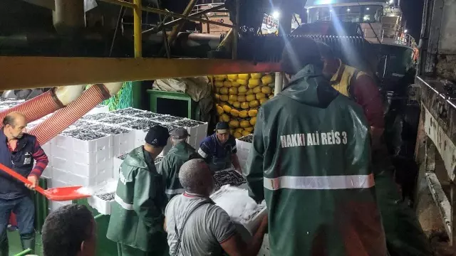 Karadeniz'de balık bolluğu yaşanıyor