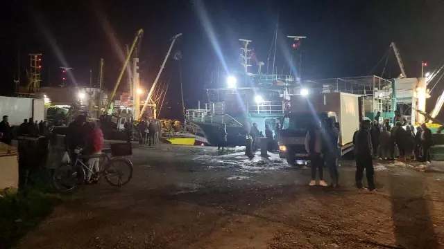 Karadeniz'de balık bolluğu yaşanıyor