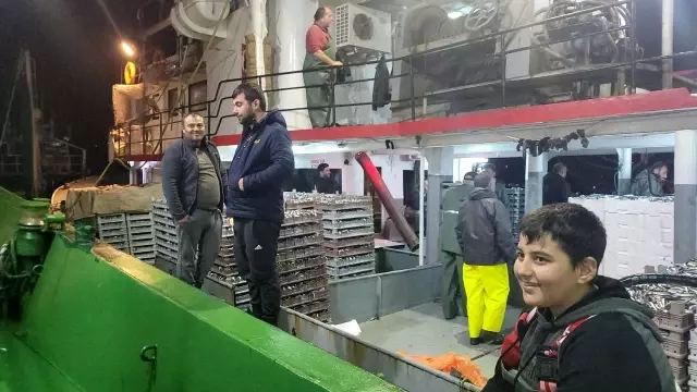 Karadeniz'de balık bolluğu yaşanıyor