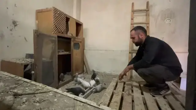 Motor ustası, iş yerinin ikinci katını güvercinlerine tahsis etti