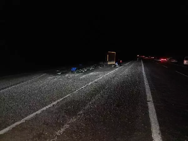 Muğla'da otomobil ile kamyon çarpıştı: 2 yaralı