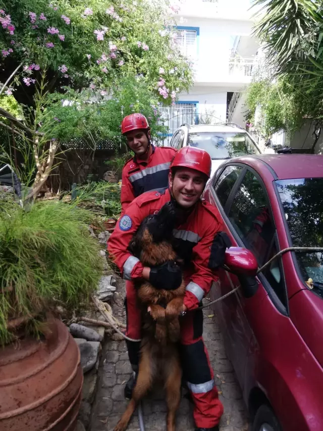 Su kuyusuna düşen köpek kurtarıldı