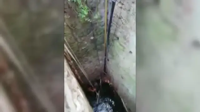 Su kuyusuna düşen köpek kurtarıldı