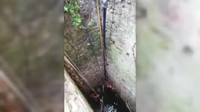 Su kuyusuna düşen köpek kurtarıldı