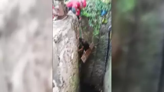 Su kuyusuna düşen köpek kurtarıldı