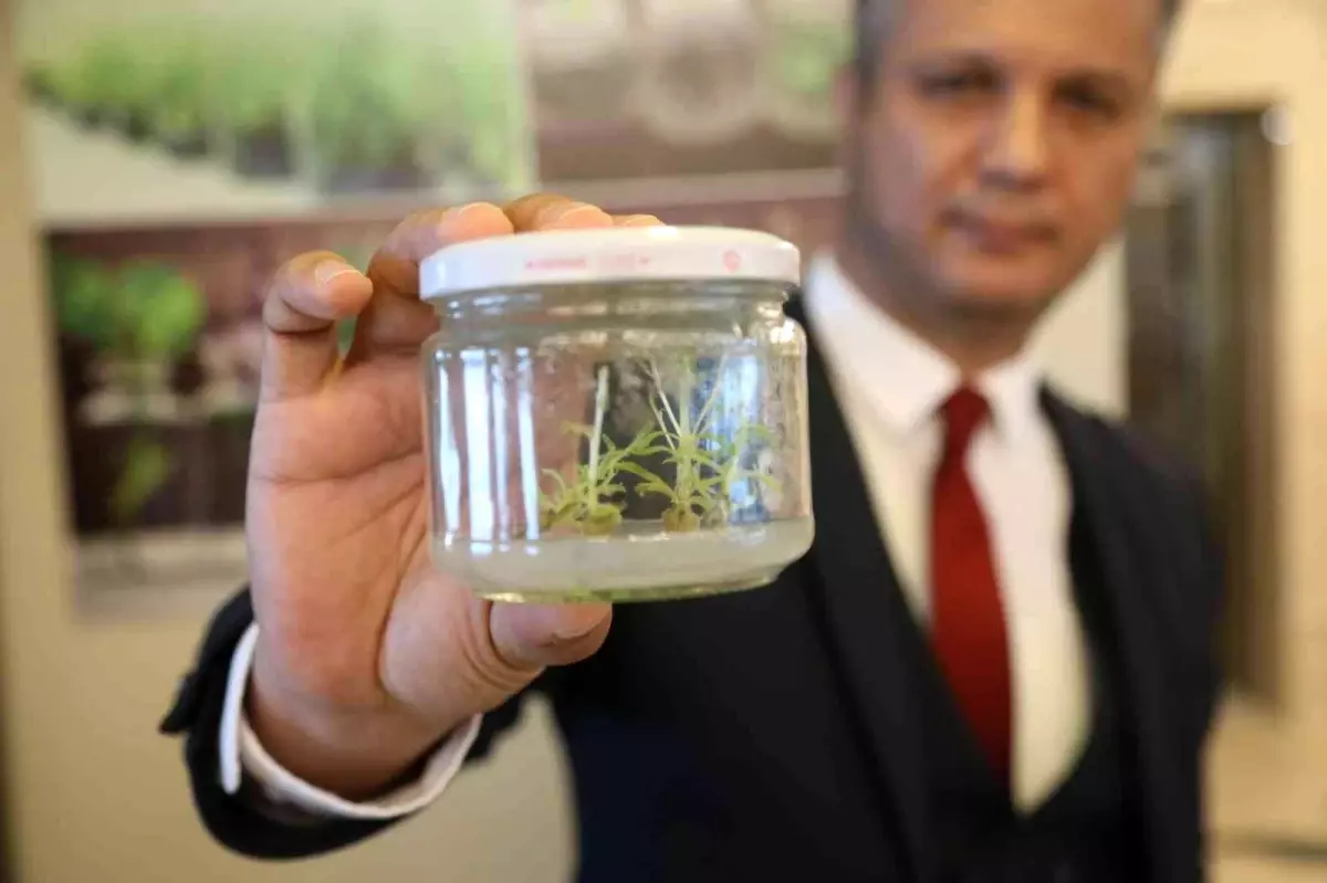 Tarımda çığır açan çalışma