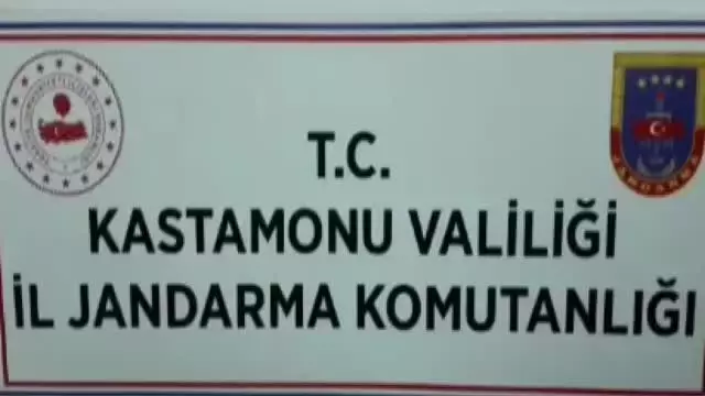 Son dakika haber... Jandarmanın baskın düzenlediği evden çok sayıda tarihi eser çıktı