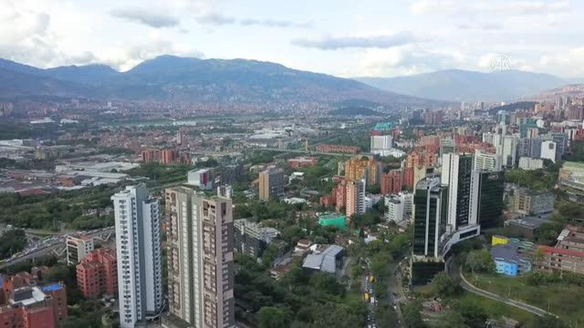 Kolombiya'da sağlık sektörünün önemli gelir kaynağı kenevir tarlaları
