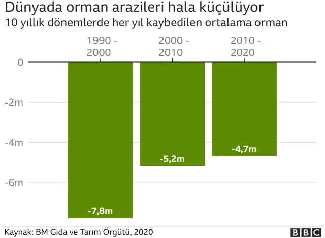 Ormansızlaşma hangi ülkelerde hızla devam ediyor?