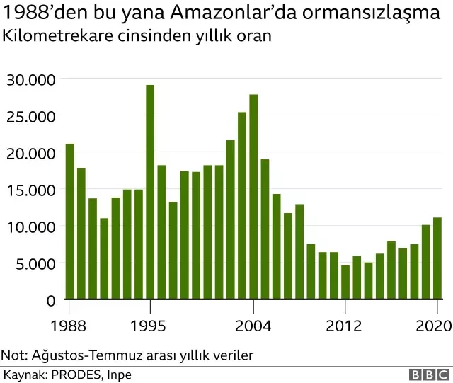 Ormansızlaşma hangi ülkelerde hızla devam ediyor?