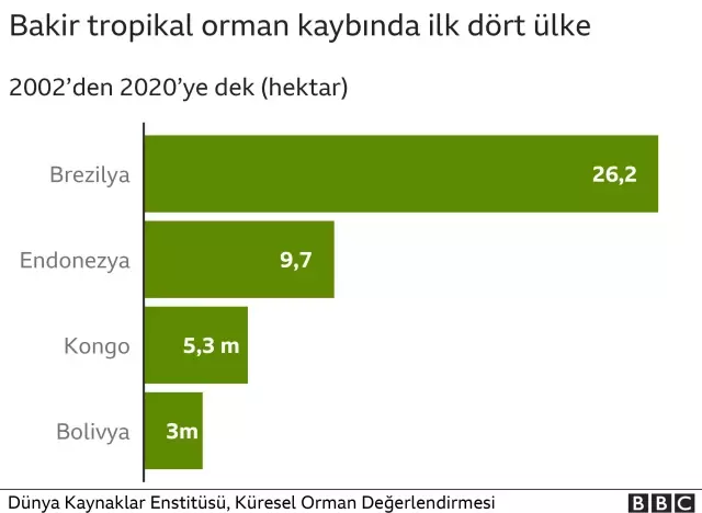 Ormansızlaşma hangi ülkelerde hızla devam ediyor?