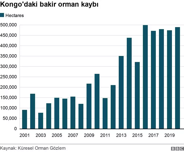 Ormansızlaşma hangi ülkelerde hızla devam ediyor?