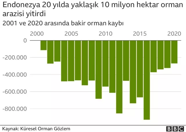 Ormansızlaşma hangi ülkelerde hızla devam ediyor?