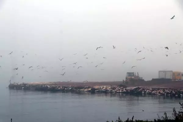 Tekirdağ'da yoğun sis etkili oldu