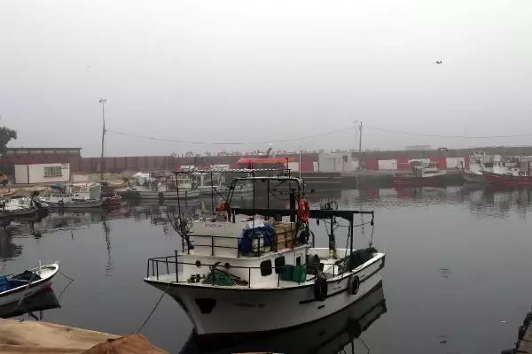 Tekirdağ'da yoğun sis etkili oldu