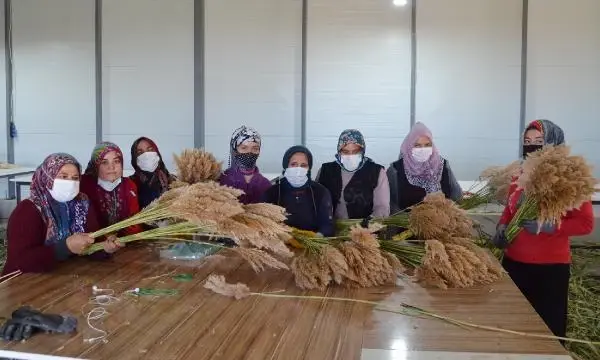 Ayşe öğretmenin 'pampas otu' projesi, köydeki 100 kadına iş imkanı sağladı