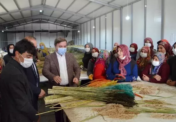 Ayşe öğretmenin 'pampas otu' projesi, köydeki 100 kadına iş imkanı sağladı
