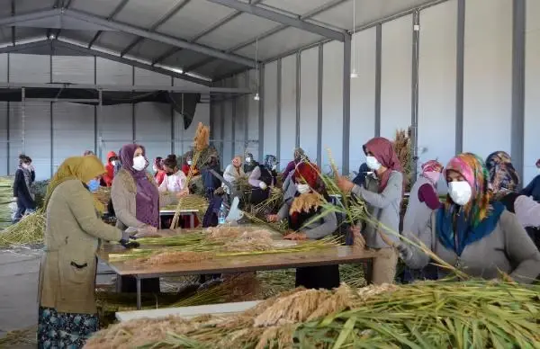 Ayşe öğretmenin 'pampas otu' projesi, köydeki 100 kadına iş imkanı sağladı