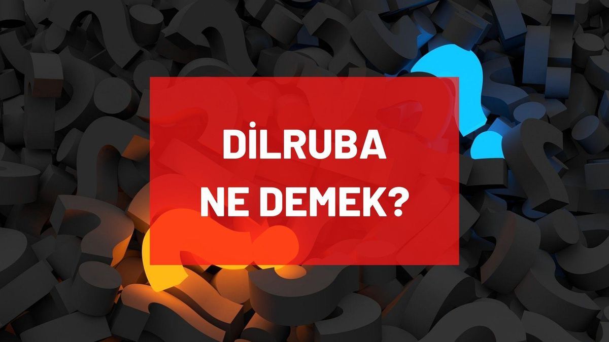 Dilruba ne demek? Dilruba isminin anlamı nedir? TDK'ya göre Dilruba nedir, ne anlama geliyor?
