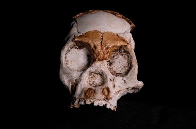 Güney Afrikalı araştırmacılar 250.000 yıl evvel ölen bir çocuğun kafatasını buldu