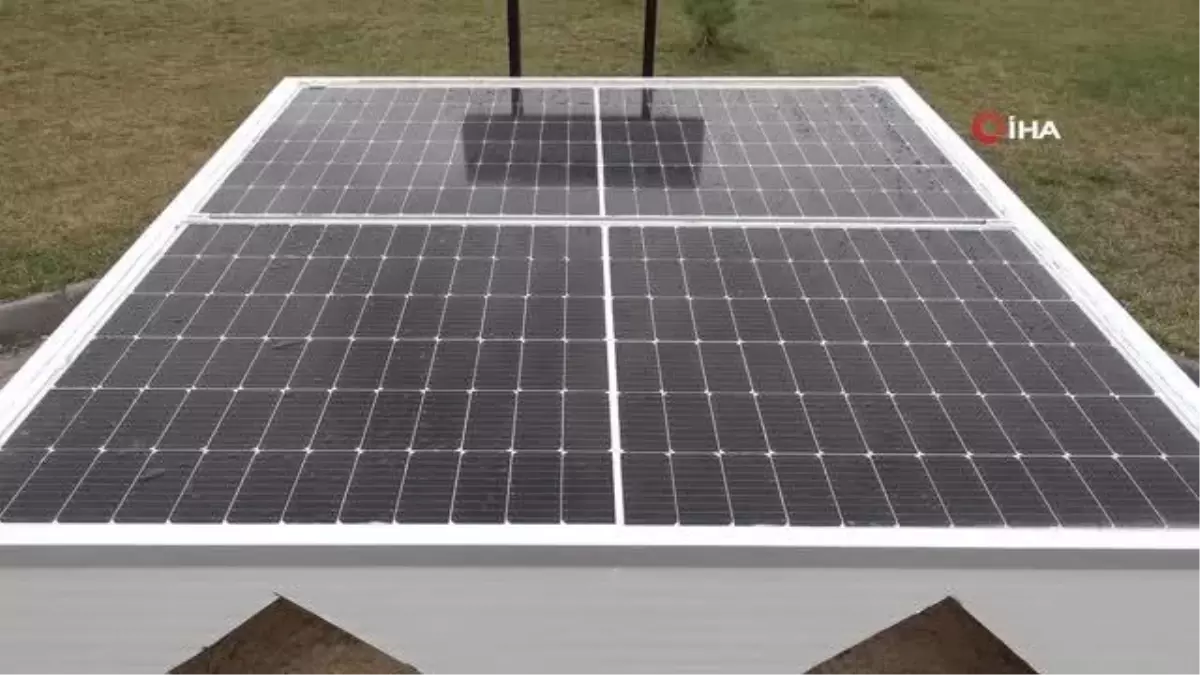 Türkiye'de ilk kez üretildi, sokak hayvanlarına umut oldu