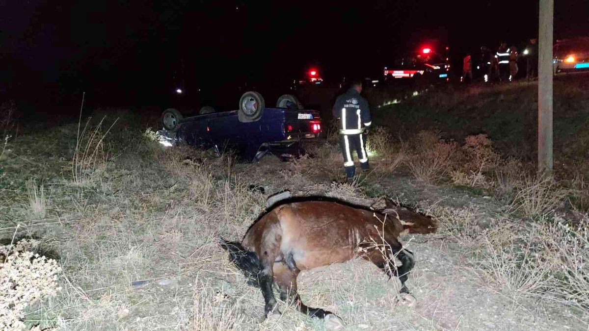 Başıboş ata çarpan otomobil takla attı: 1 ölü, 6 yaralı