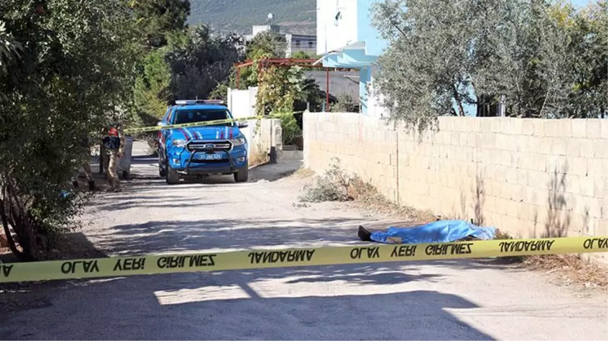 Evinin bahçesindeki ağaçtan zeytin toplayan adam merdivenle birlikte düşerek feci şekilde öldü