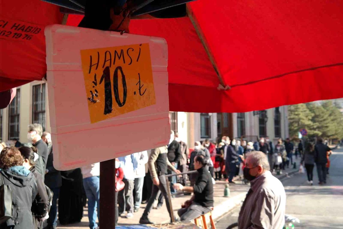 Kilosu 10 TL'ye düşen hamsiyi gören sıraya girdi