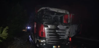 Mersin'de domates yüklü kamyonda çıkan yangın söndürüldü