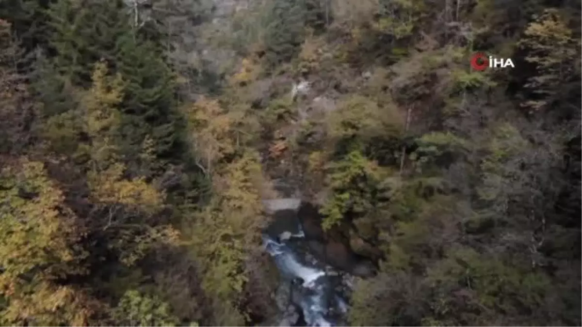 Tarihi Banakna Köprüsü keşfedilmeyi bekliyor