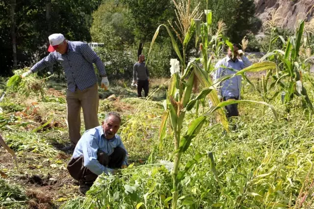 Hakkari'de kış hazırlığı başladı