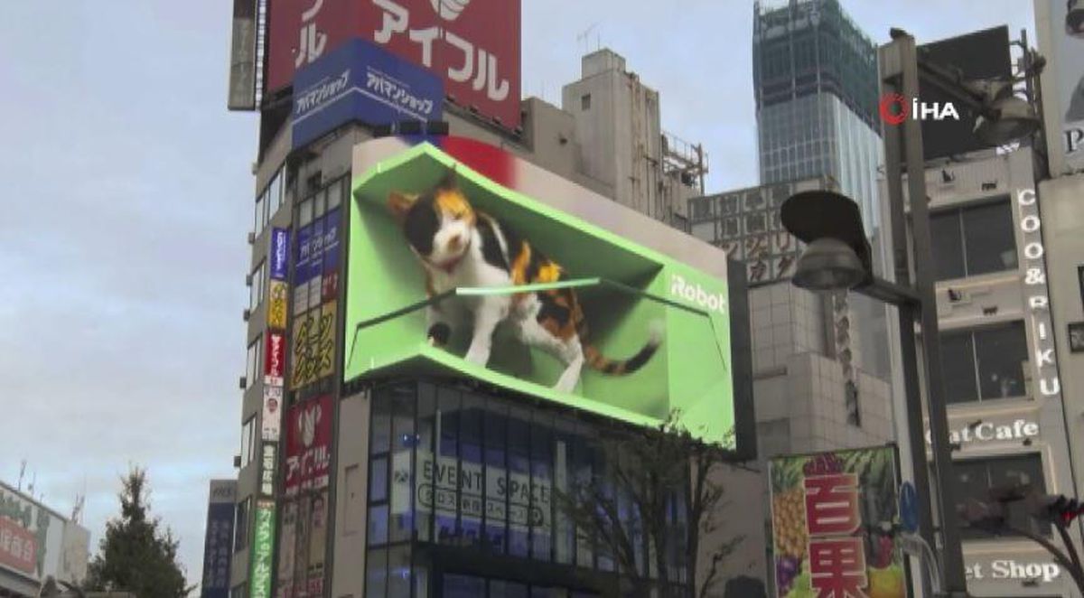 Tokyo'daki 3 boyutlu kediye eğlence çıktı