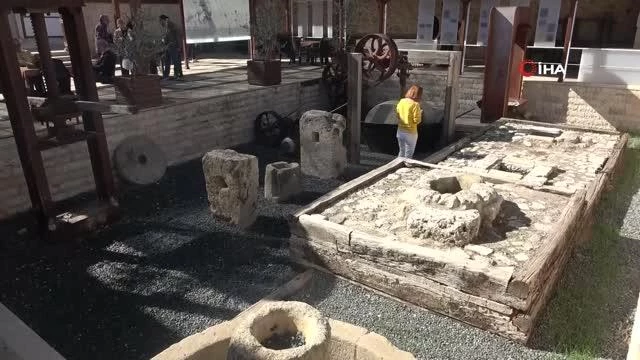 Zeytin ve Zeytinyağı Müzesi'ne ziyaretçi akını