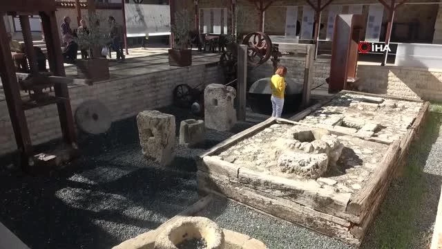 Zeytin ve Zeytinyağı Müzesi'ne ziyaretçi akını