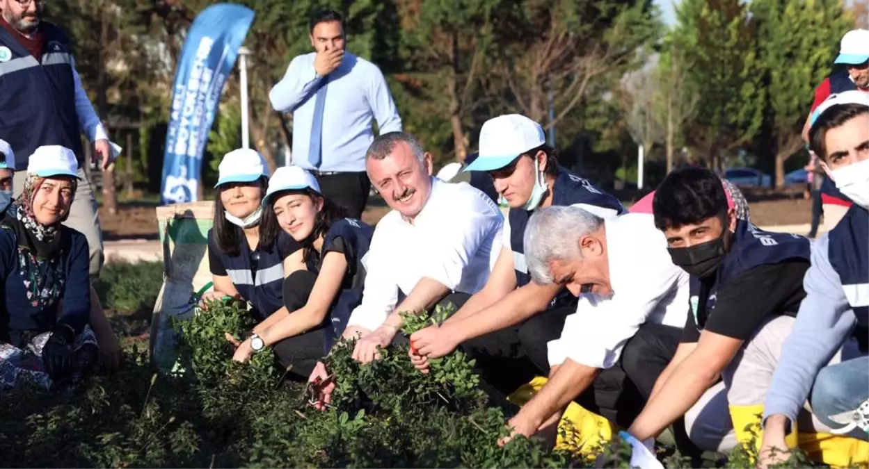 Büyükşehir'den konserli 'Hasat ve Dikim Şenliği'