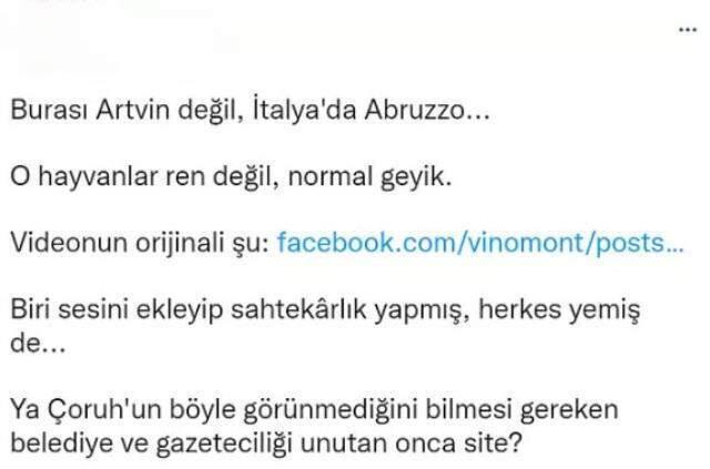 Çoruh Nehri'nde ren geyikleri görüldü iddiası