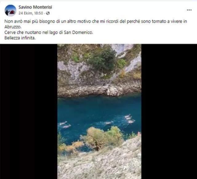 Çoruh Nehri'nde ren geyikleri görüldü iddiası