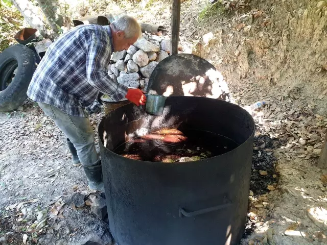 Binbir zahmetle üretilen defne yağı geçim kaynağı oldu! Litresi 120 liradan satılıyor
