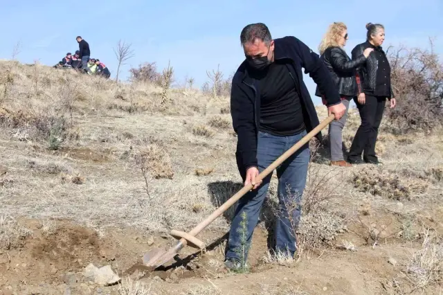 Elazığ Jandarma Harput Mahallesine 2 bin fidan dikti