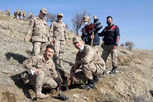 Elazığ Jandarma Harput Mahallesine 2 bin fidan dikti