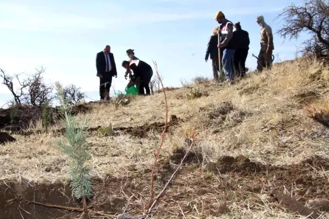 Elazığ Jandarma Harput Mahallesine 2 bin fidan dikti