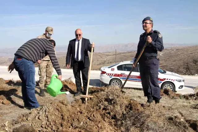 Elazığ Jandarma Harput Mahallesine 2 bin fidan dikti