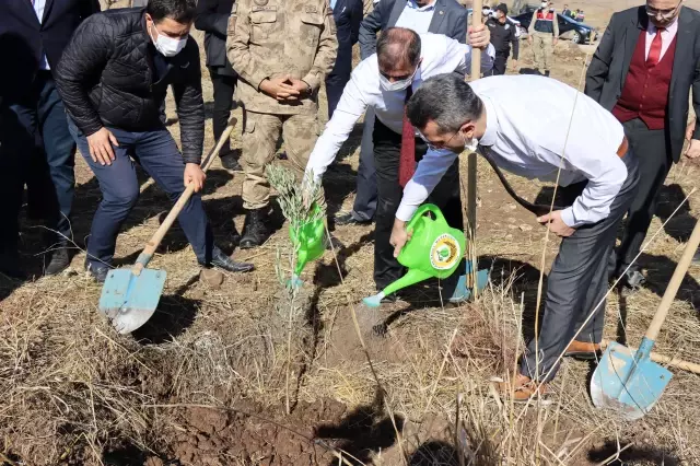 Milli Ağaçlandırma Seferberliğine adalet mensuplarından destek
