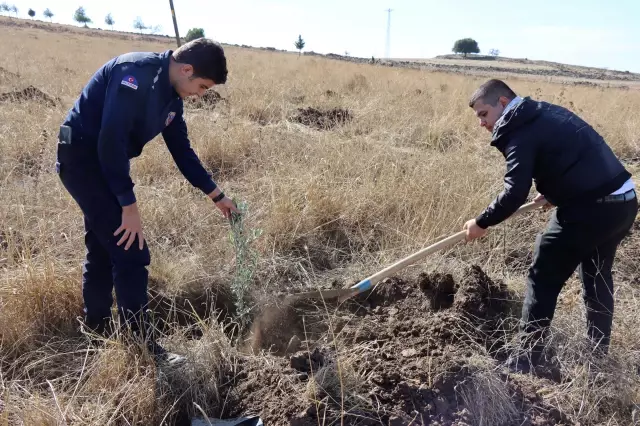 Milli Ağaçlandırma Seferberliğine adalet mensuplarından destek